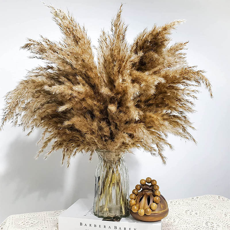 Picture of Cross-border Hot Sale Bohemian Style Decoration Fluffy Pampas Grass Natural Pampas Decorative Dried Flower bouquet