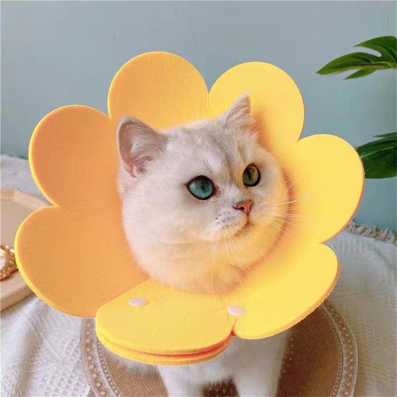 Wholesale Sunflower Felt Elizabeth Ring Lightweight Headgear Cat Collar Anti-Lick Anti-Bite Shame Ring for Sterilization
