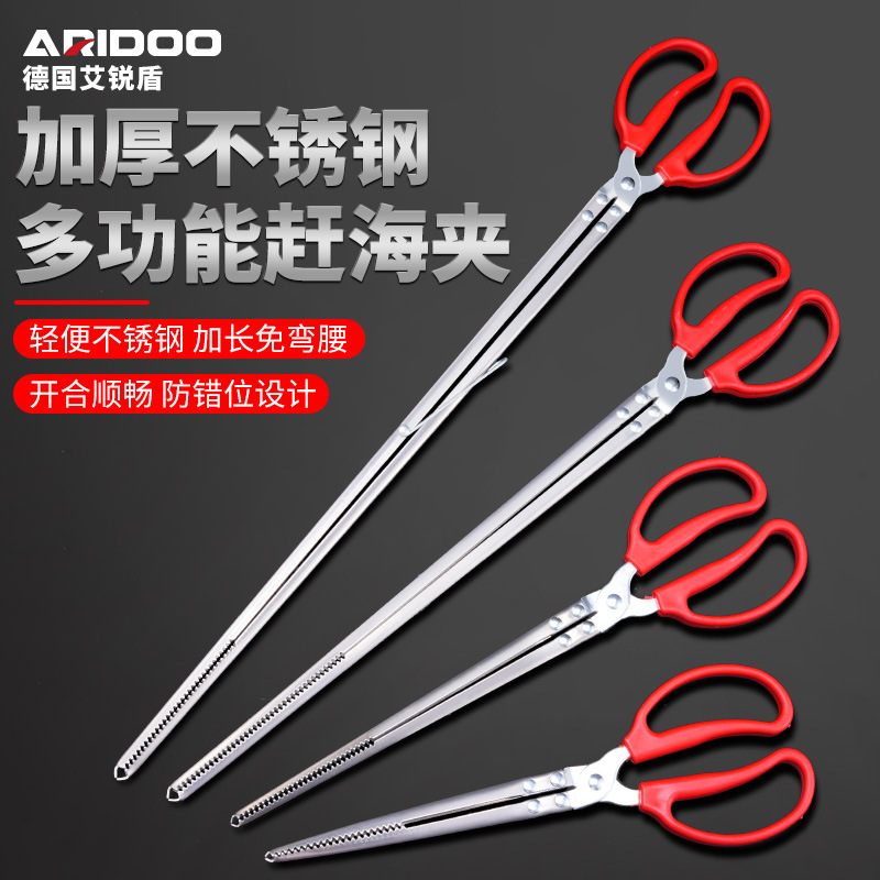 Tide gathering tongs, tongs, eel stainless steel non-slip equipment, eel loach catching crab tongs, claw for delivery and eel special use