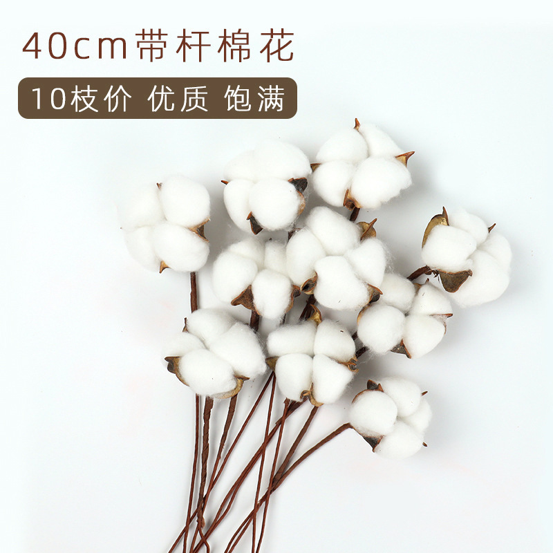 Ins natural cotton head shell with rod dried flower insert floral diy bouquet accessories florist New Year Bucket decoration material