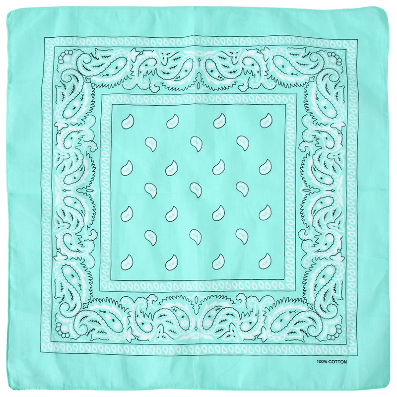 Picture of Factory Wholesale European and American Cashew Flower Square Scarf Outdoor Sports Cycling Hip-Hop Spot Pure Cotton Insect Printed Headscarf