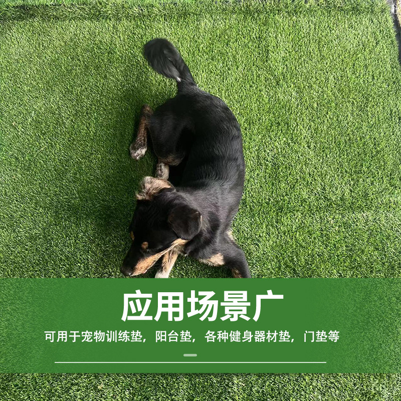 Picture of Rubber Bottom Artificial Lawn Household Lawn Carpet Pet Grass Mat Door Entrance Mat Living Room Lawn Can be Cut