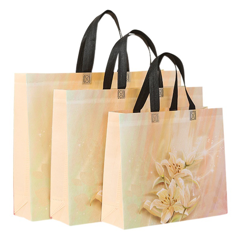 Wholesale Non-woven Bag Portable Packaging Bag High-end Clothing Store Shopping Bag Film-coated Gift Bag Printable logo