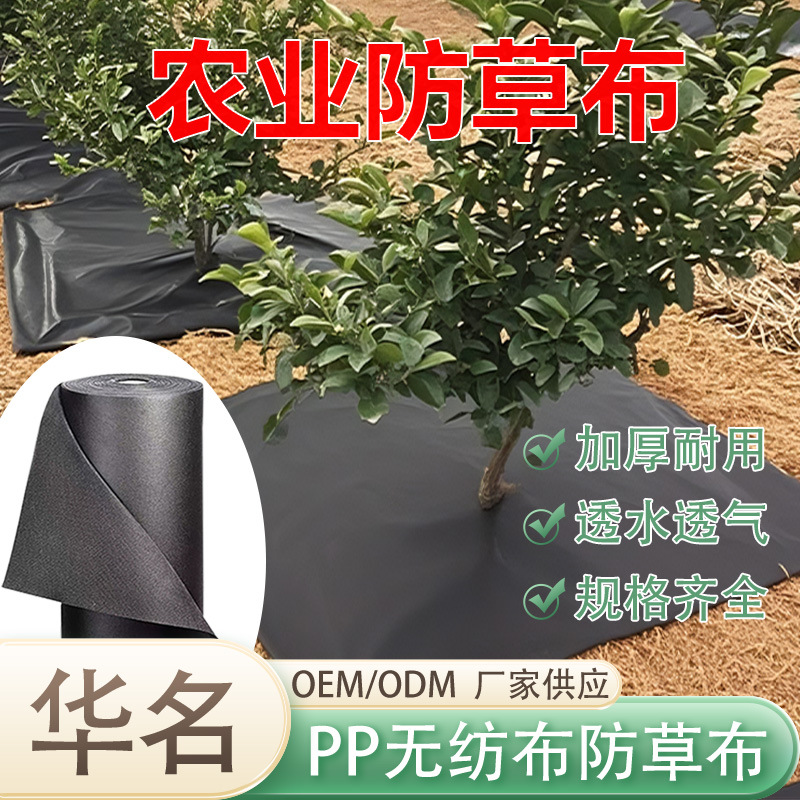 Picture of Manufacturers supply agricultural black anti-weed cloth punched slices breathable and permeable non woven fabric orchard grass cover cloth
