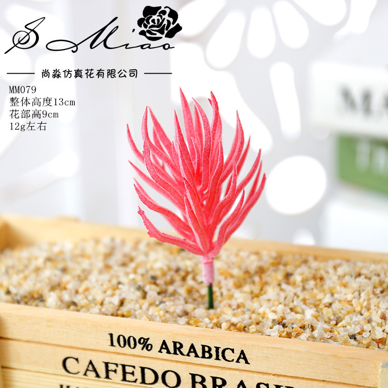 Picture of 006 Flocked Red Series Succulents Creative DIY Supplies Accessories Factory Direct Supply Wholesale Artificial Green