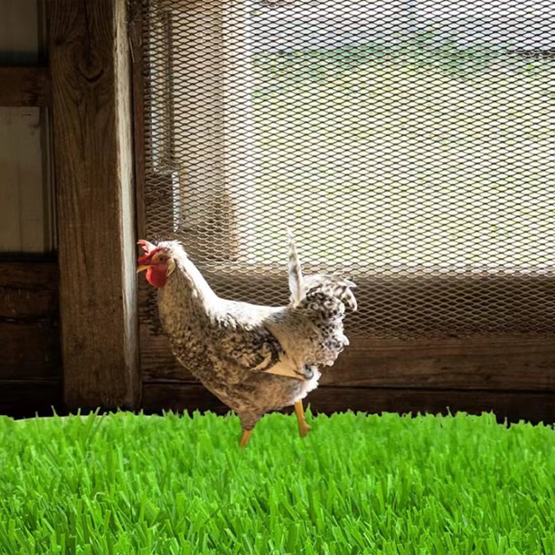 Picture of Cross-border special for chicken nest mat chicken nest mat egg mat pet mat shock absorption warm washable