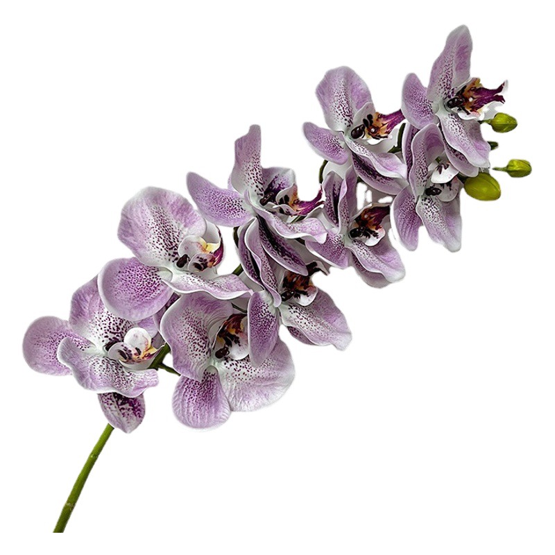 New hand-feeling film phalaenopsis 9-head big orchid macaron phalaenopsis multi-color beautiful bright drape