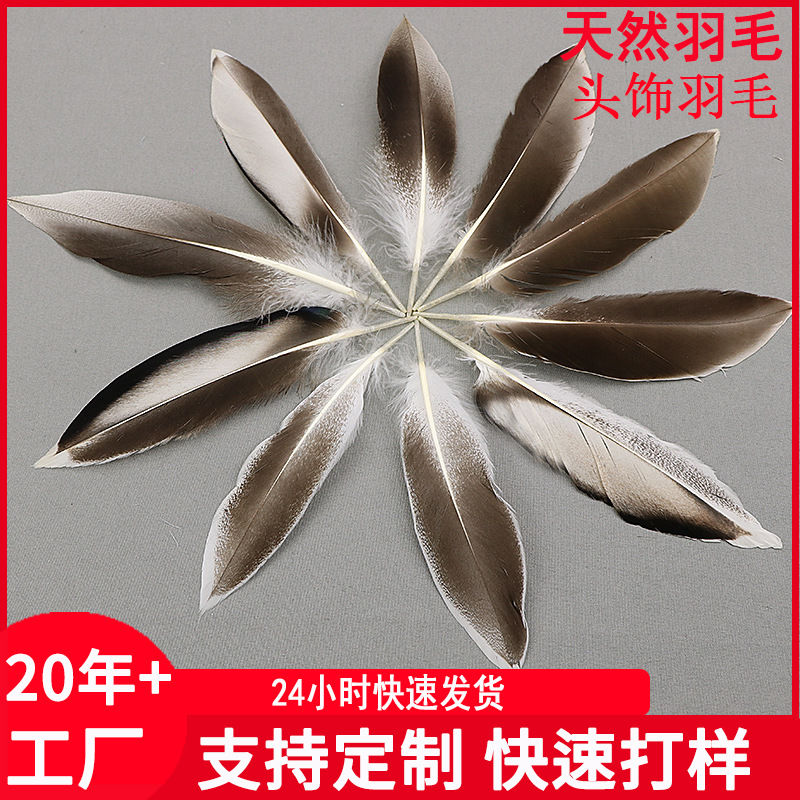 Picture of natural wild duck black pointed wild bird feather wild duck feather diy corrugated clothing accessories small feather