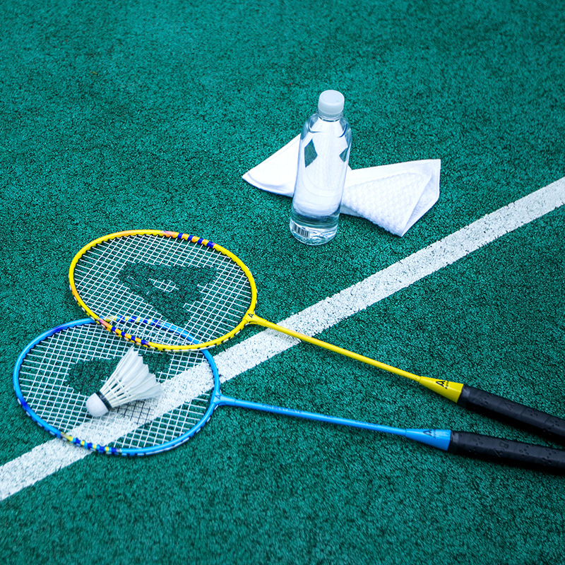 Picture of Deli Angnet F2101 Badminton Racket Double Bat Send Ball Fitness Doubles Badminton Racket