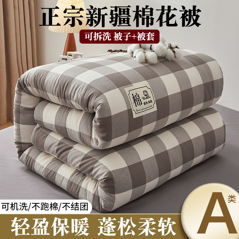 Class A Xinjiang Cotton Quilt Detachable and Washable Quilt Without Printing Spring and Autumn Quilt Thickened Warm Winter Quilt Student Dormitory Quilt