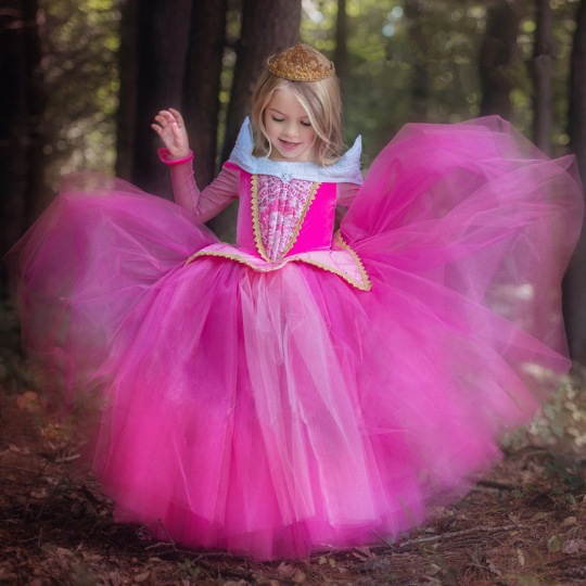 Mesh long sleeve pettiskirt European and American girls sleeping beauty princess eluo dress children's dress girls dress