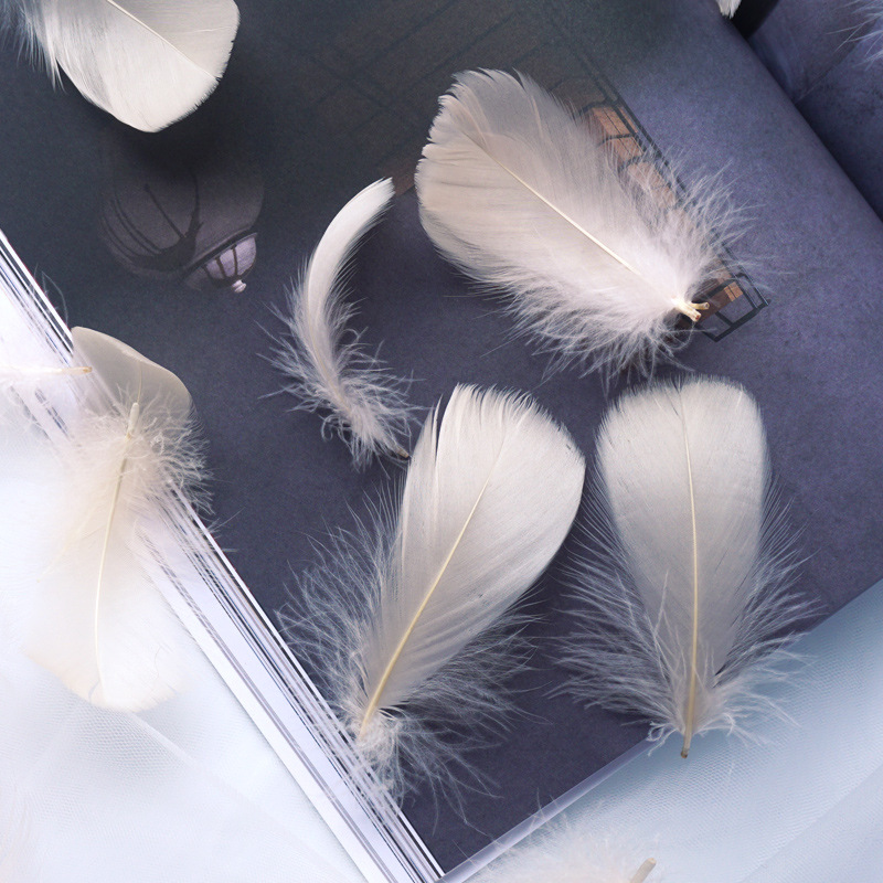 Picture of Manufacturer Wholesale Macaron Colorfulful Small Feather 5-8cm Goose Feather Small Floating Wave Ball Balloon Filling Decorative Material