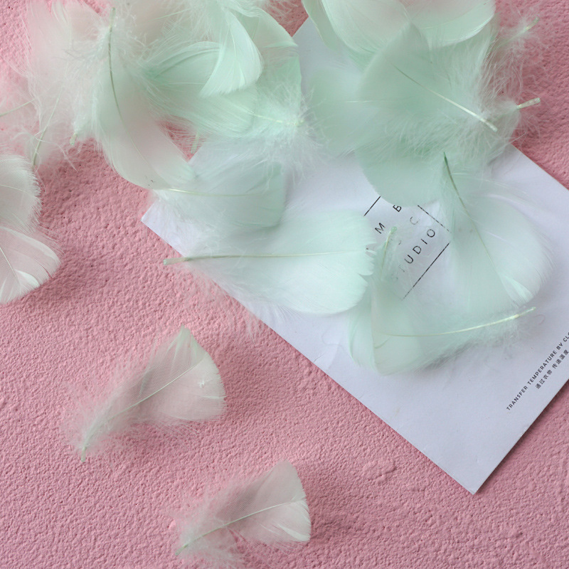 Picture of Manufacturer Wholesale Macaron Colorfulful Small Feather 5-8cm Goose Feather Small Floating Wave Ball Balloon Filling Decorative Material