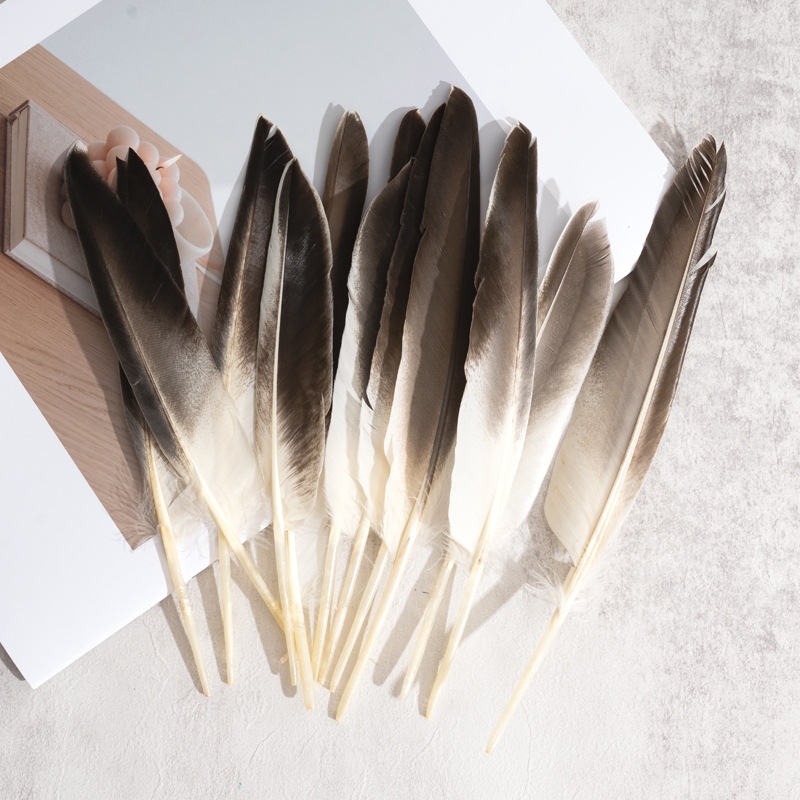 Picture of Feather Factory Wholesale Colorfulful Duck Feathers Hard Real Duck Feather Feather Pen Devil Wings DIY Handmade Materials