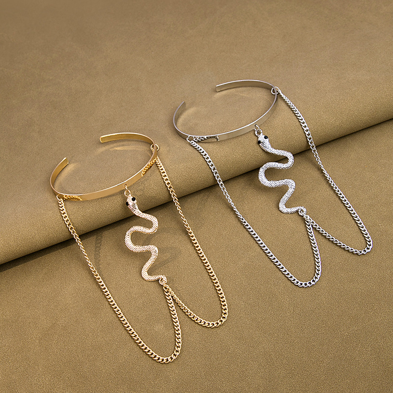 Picture of Metal Wind Arm Ring Simple Long Tassel Snake Distinctive Chain Diamond Jewelry Light Luxury High-end Ring Bracelet
