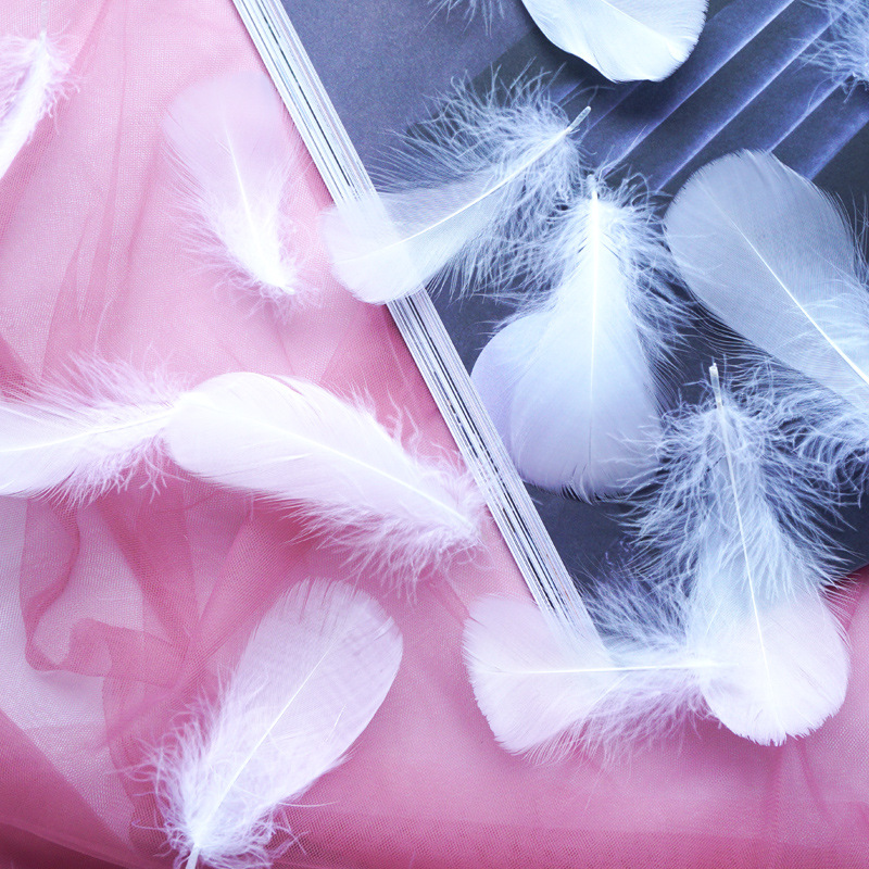 Picture of Manufacturer Wholesale Macaron Colorfulful Small Feather 5-8cm Goose Feather Small Floating Wave Ball Balloon Filling Decorative Material