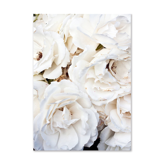 Picture of Amazon Fashion Poster Grass Reed Wall Painting Peony Flower Fashion Poster Citation Figure Girl Bedroom Decoration