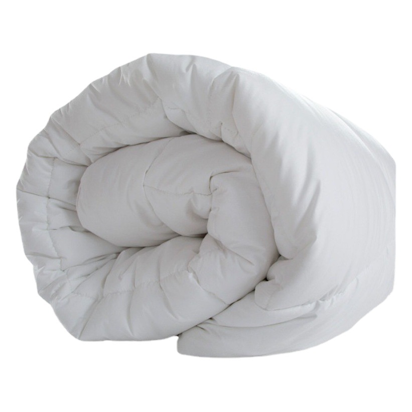 Hotel hotel bedding wholesale cotton feather velvet quilt fiber spring and autumn air conditioning winter thick large quilt core