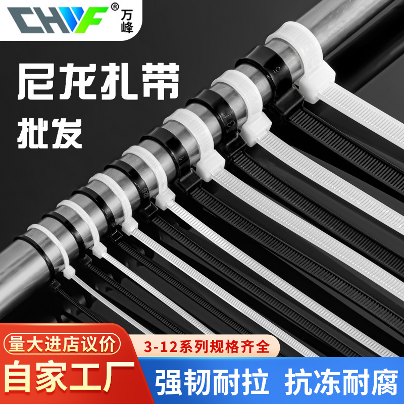 Self-locking cable tie wholesale high and low temperature resistant strap 3*150*4*200*5*250*8*300 cable tie