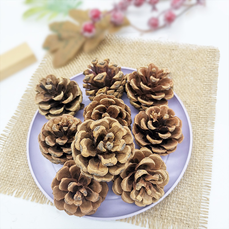 Natural pine cone Christmas decoration wood dried flower eternal flower dyed white pine cone diy accessories Christmas Fruit Wholesale