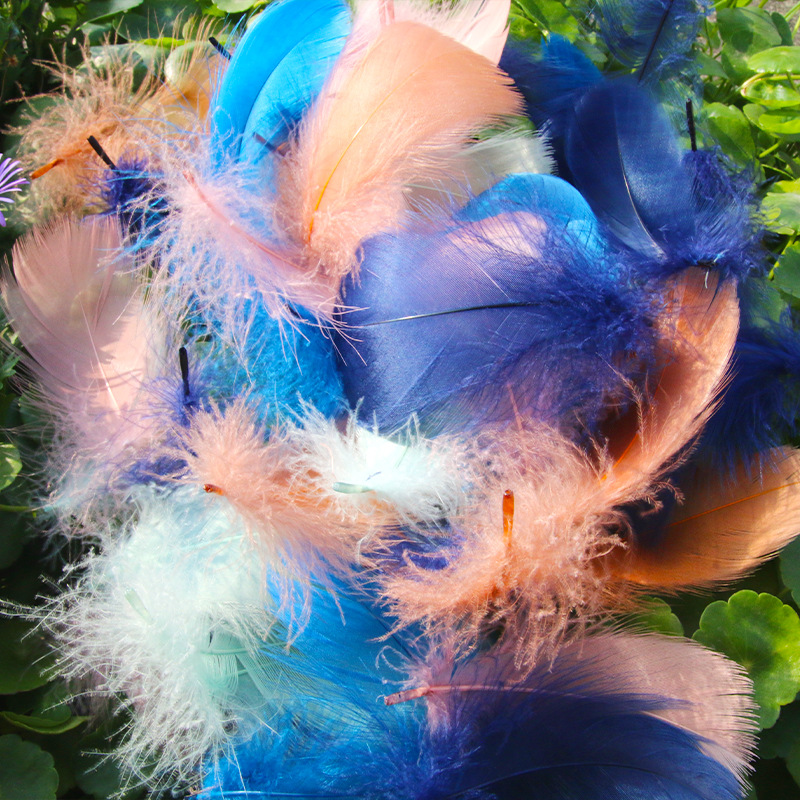 Picture of diy handmade color floating feather goose feather dream catcher wave ball gift box filling decoration materials