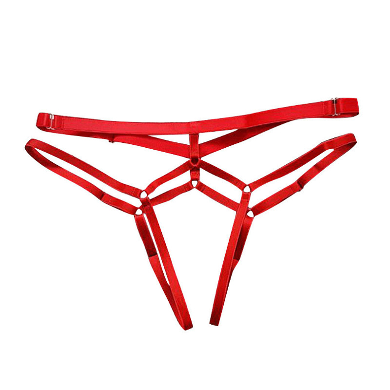 Picture of Cross-border sales of European and American foreign trade open underwear ladies transparent beautiful hip lace-up T-pants multi-size MM sexy