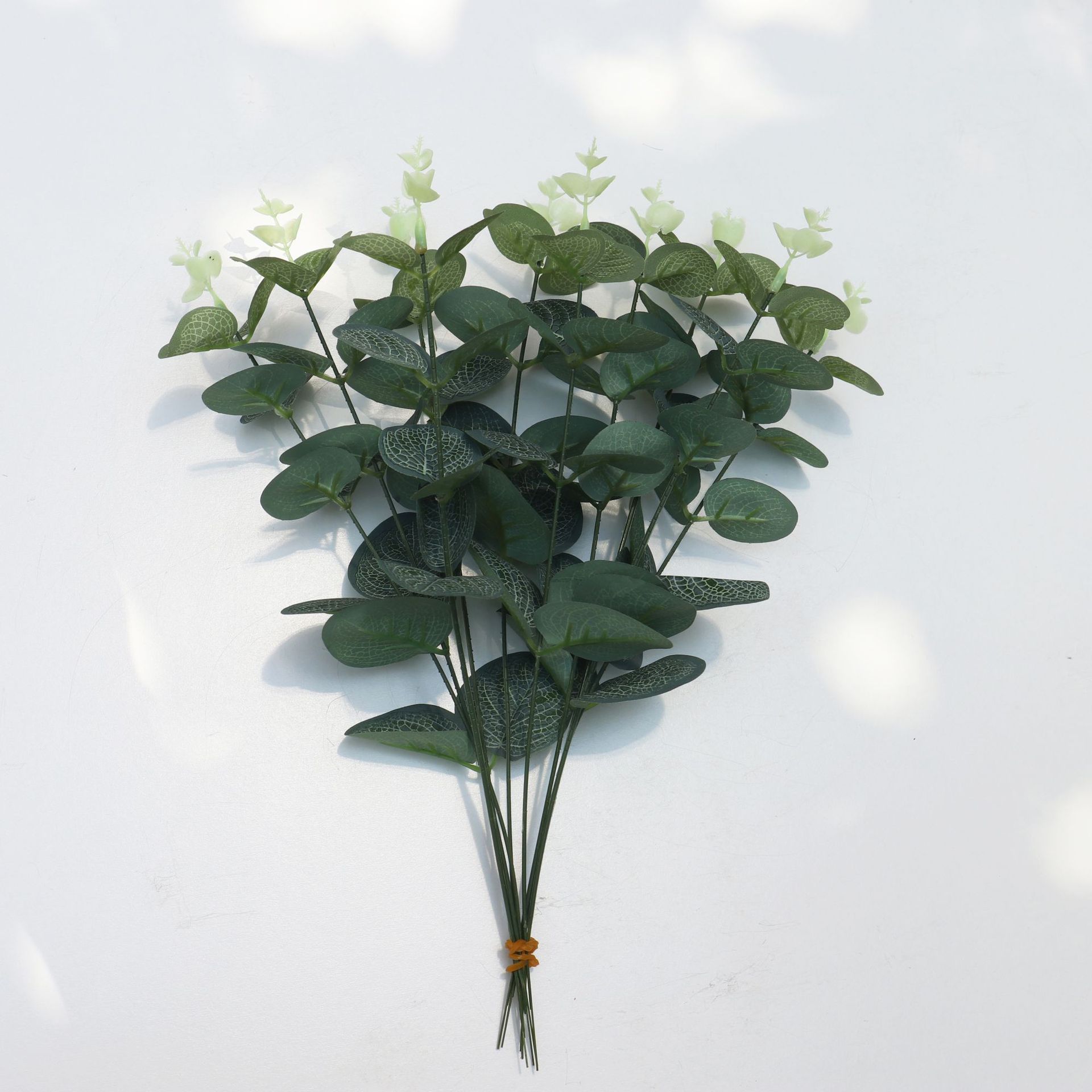 Picture of Amazon Simulation Single Money Leaf Eucalyptus Green Plant Wall Wedding Photography Photo Props High Artificial