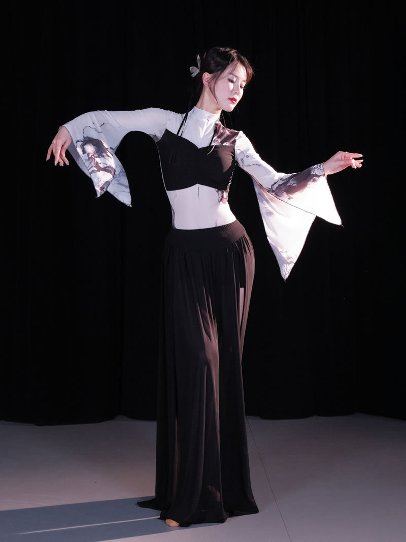 Dancer Belly Dance Costume Spring and Summer New Guofeng Oriental Dance suit Long Sleeve Exercise Fairy Style Exercise Class Costume 5086