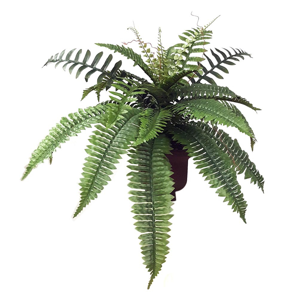 Picture of Simulated Plant Persian Grass Home Decoration Floor Bonsai Purple Hanging Bell Leaf Artificial Flowers and Green Plants Wave Grass Potted Plant