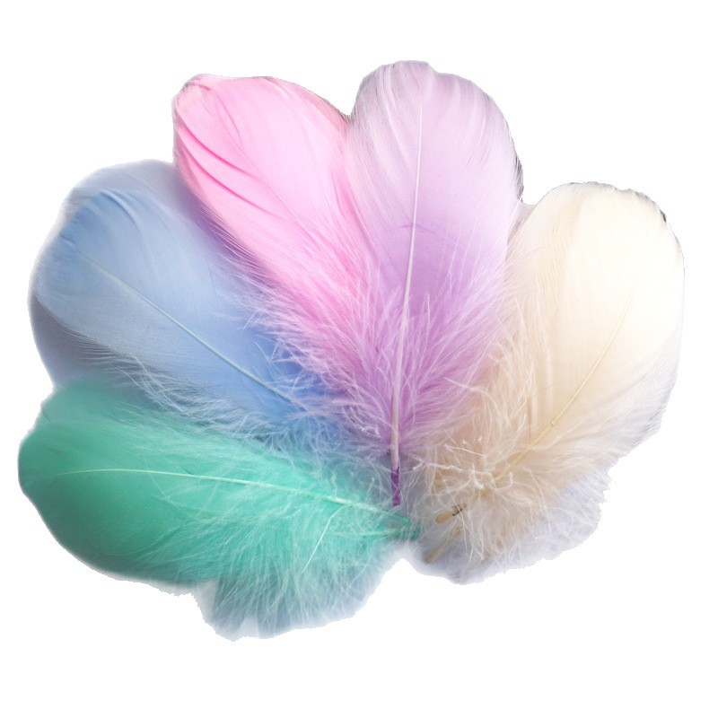 Picture of Color feather DIY floating dyeing goose feather dream catcher wave ball gift box filling decorative materials wholesale