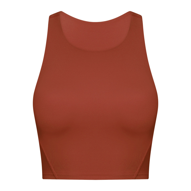 Picture of New Style Elevated Round Neck Sports Vest with Chest Pad for Women Nude Sports Fitness Yoga Bra Dt169