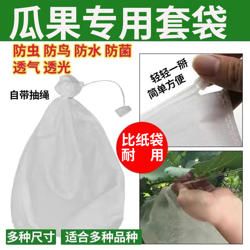Picture of Disposable Non-woven Fruit Bag Grape Pear Fruit Protection Bag Insect-proof Bird-proof Rain-proof Fruit Bag