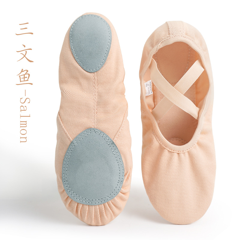 Picture of Dance Shoes Practice Shoes Body Ballet Cat Claw Shoes Children's Lace-up Free Full Stretch Cloth Canvas Soft-soled Shoes