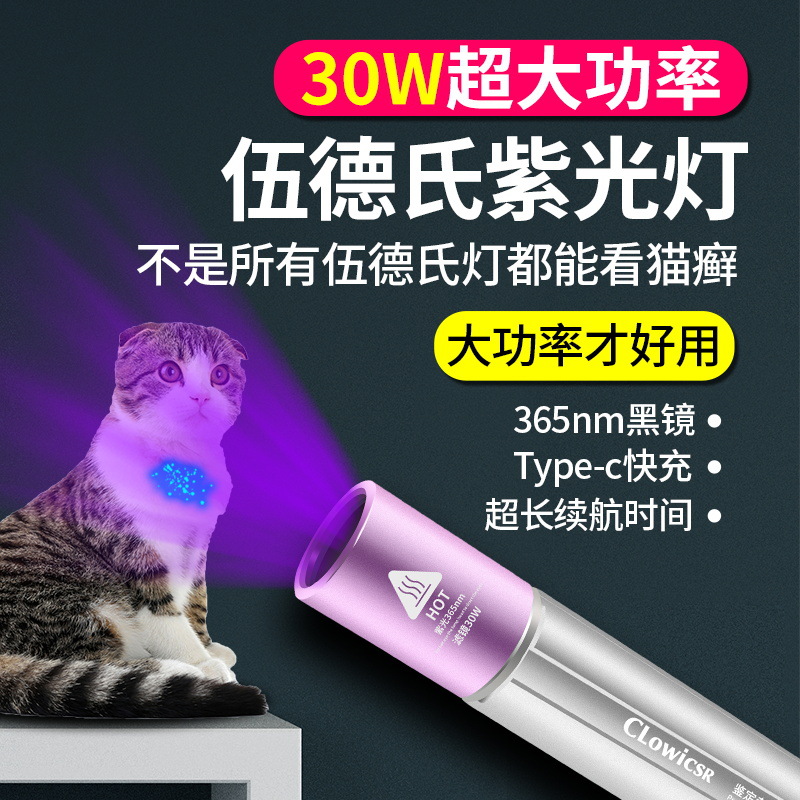 365Nm Purple Light Flashlight USB Rechargeable Pet Dog Urine Cat Ringworm Scorpion Detection Jade Fluorescent Agent Ultraviolet Light