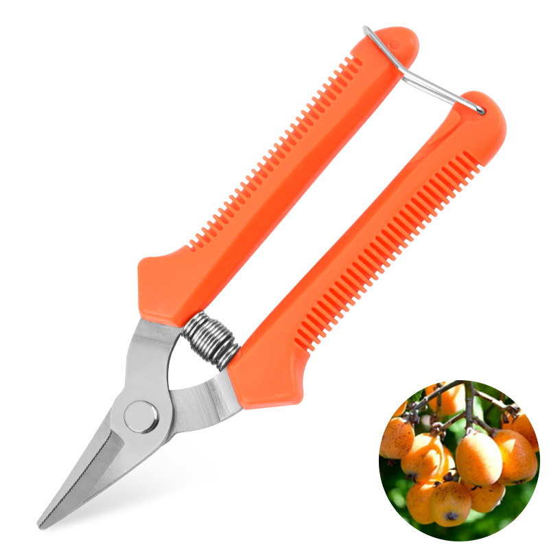 Manufacturer Pruning Shears, Gardening Pruning Shears, Fruit Picking Shears, Gardening Tools, Household Fruit Tree Shears, Wholesale Fruit Branches