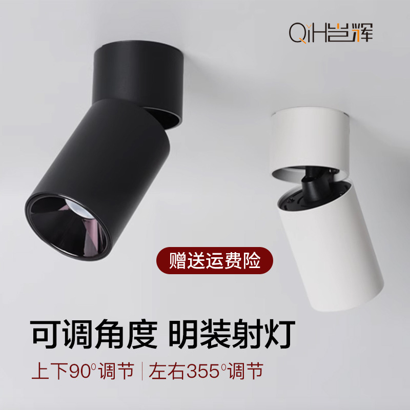 Ming-mounted Spotlight Angle-adjusted Folding Rotating Round Household Main-less Light Nordic Minimalist Background Wall Picture Track Light