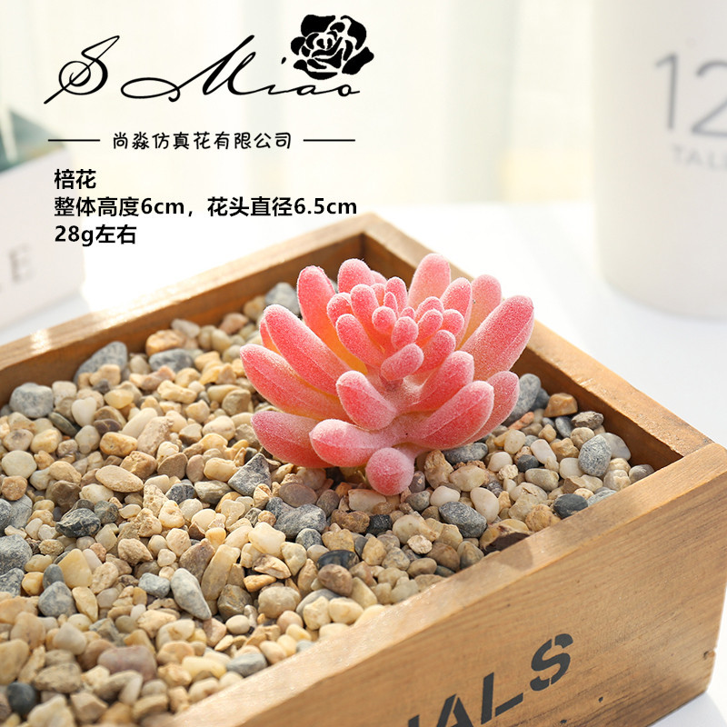 Picture of 006 Flocked Red Series Succulents Creative DIY Supplies Accessories Factory Direct Supply Wholesale Artificial Green