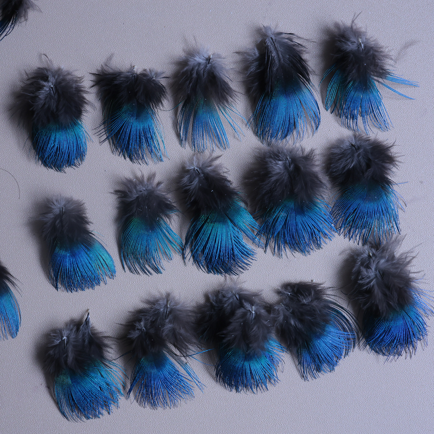 Picture of Wholesale 3-4cm Natural Peacock Neck Blue Flakes Dotting DIY Material Feather Decoration Accessories Small Feathers