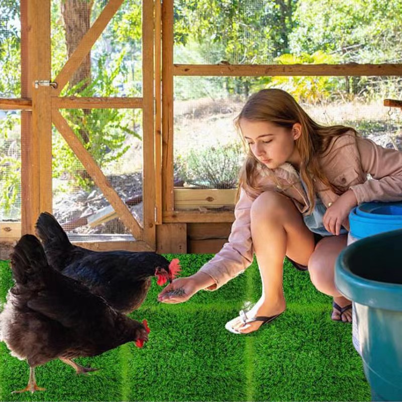 Picture of Cross-border special for chicken nest mat chicken nest mat egg mat pet mat shock absorption warm washable
