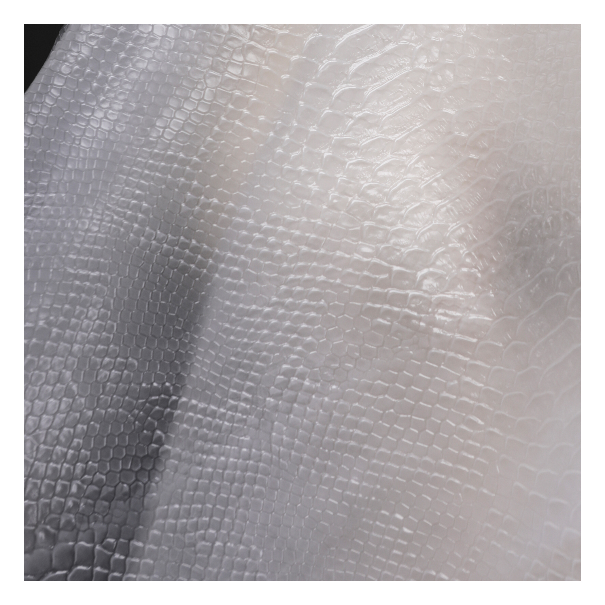 Picture of Matte Frosted Bionic Snakeskin Tpu Transparent Water Film Semi-Permeable Creative Jacket Bag Clothing Designer Fabric