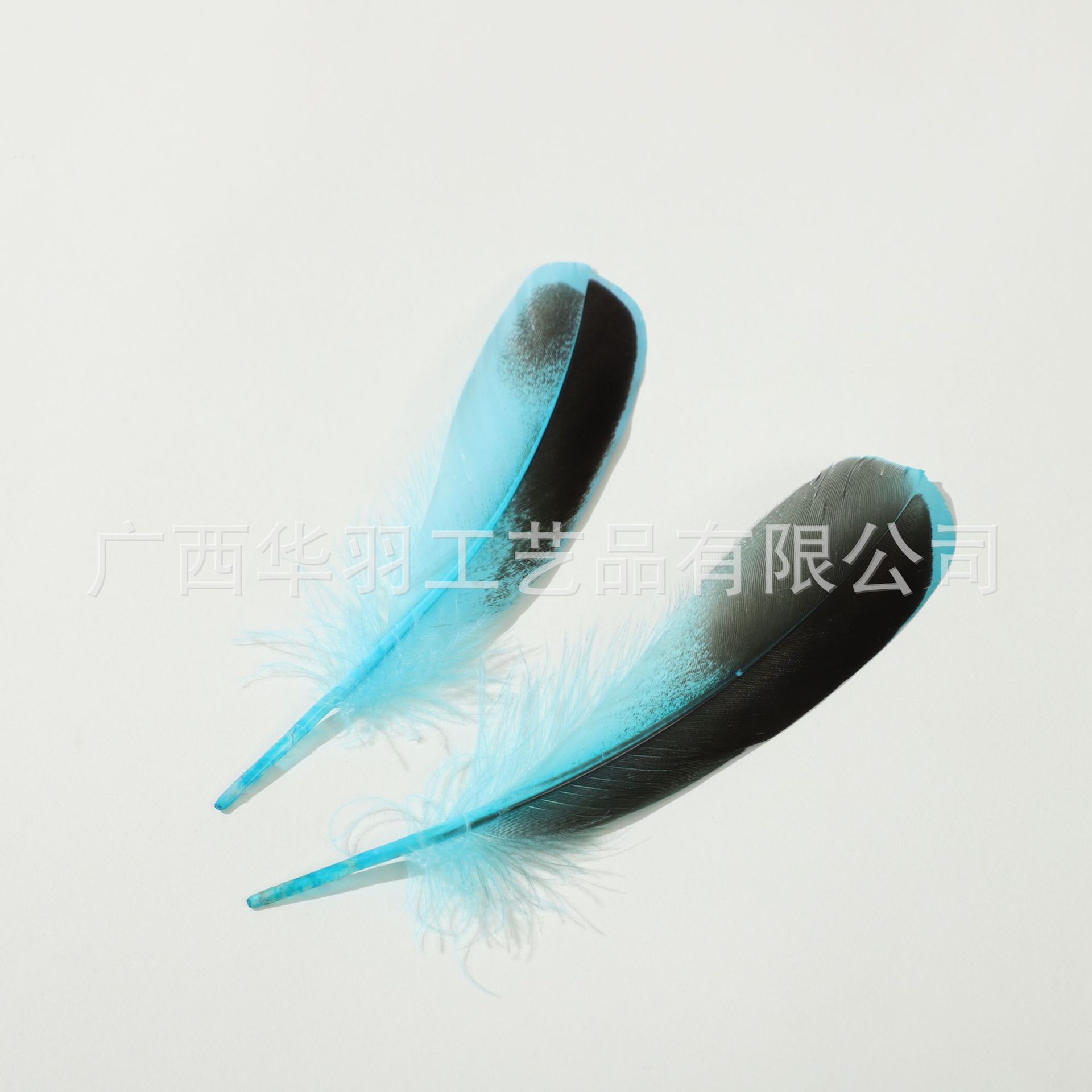 Picture of DIY Feathers, Natural Duck Feathers, Duck Feathers for Jewelry, Indian Headdress, Handmade Craft Decoration Materials, Creative and Natural