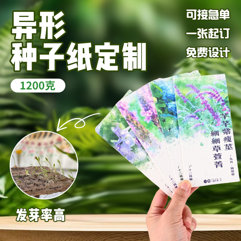 Seed Paper Customized Twelve Solar Terms Tassel Postcard Card Kindergarten Graduation Germinable Star Peripheral Material Card