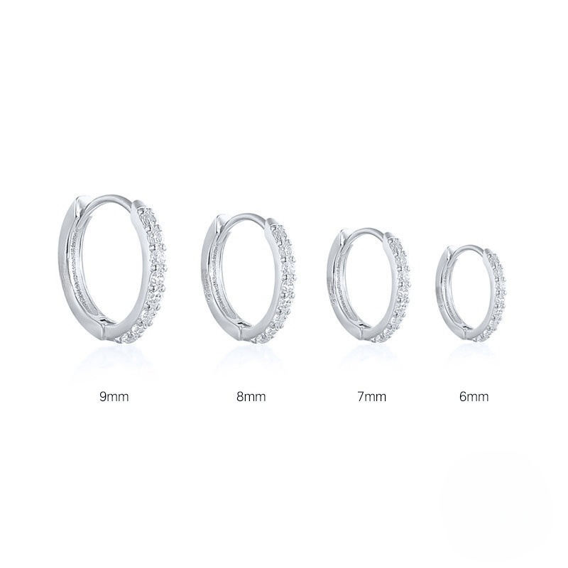 Picture of Amazon Europe and the United States cross-border hot-selling circle diamond earrings earrings zircon earrings light luxury fashion earrings jewelry