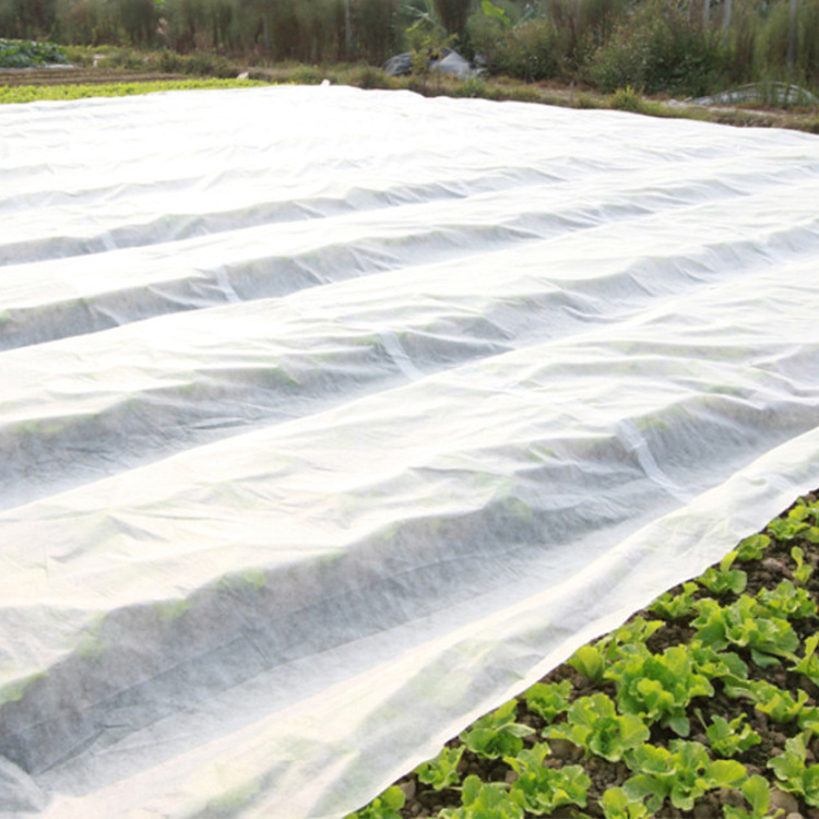 Anti-aging weeding cloth Anti-cold cloth Orchard water-permeable breathable film Moisturizing agricultural and horticultural floor cloth Cover grass and grass suppression film