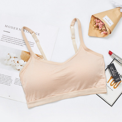 Picture of European and American Foreign Trade Breathable Short Camisole Beautiful Back Bra Fixed Cup No Steel Ring Wrap Breast Tube Top Underwear bra