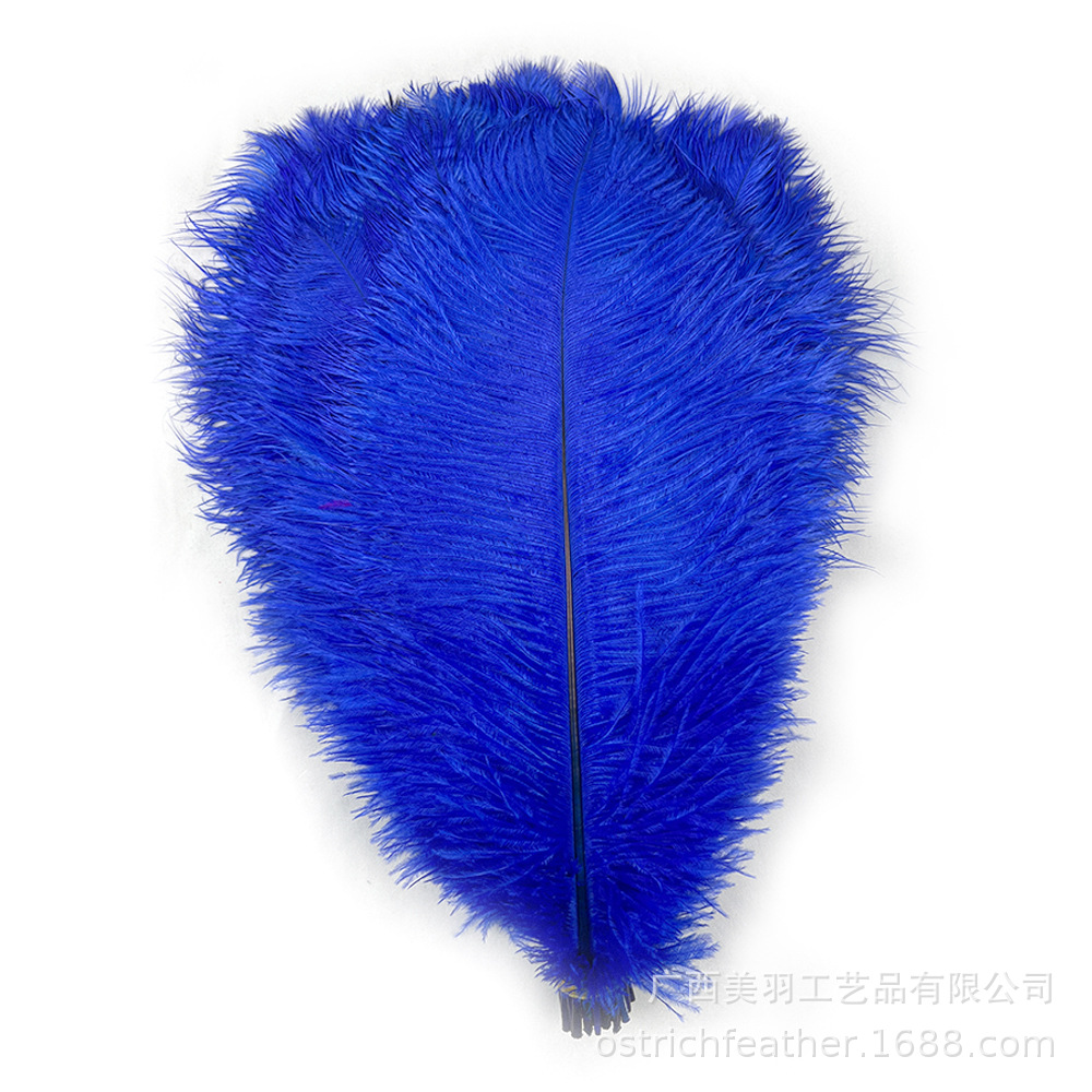 Picture of 35-40cm Ostrich Feather Wholesale Manufacturer Spot Wedding Decoration Feather DIY Crafts Stage Clothing Ostrich Feather