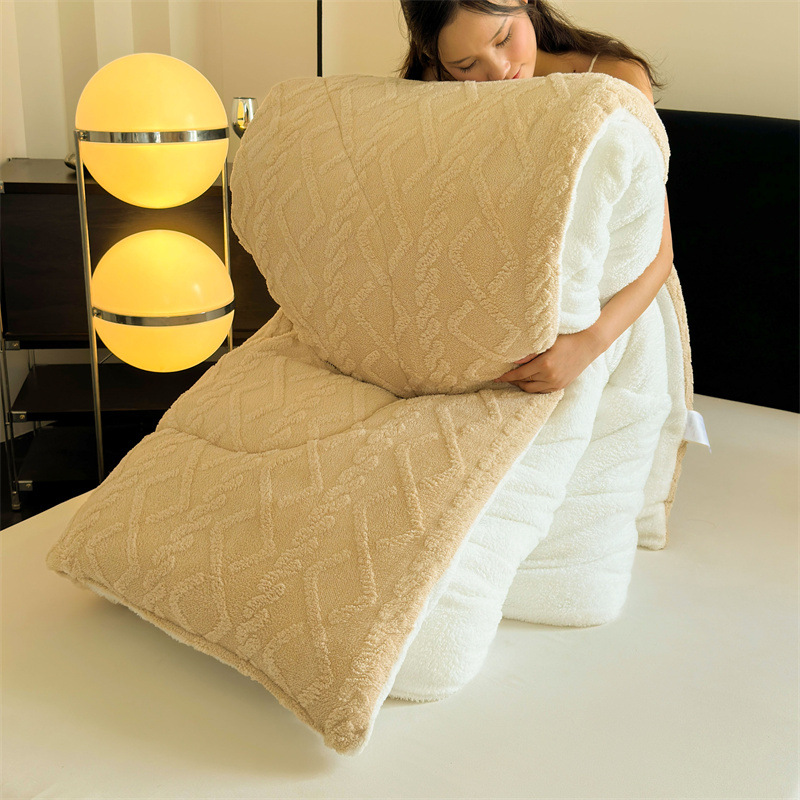 Picture of Taff velvet winter quilt lamb velvet arctic velvet core single double padded warm winter quilt factory wholesale generation