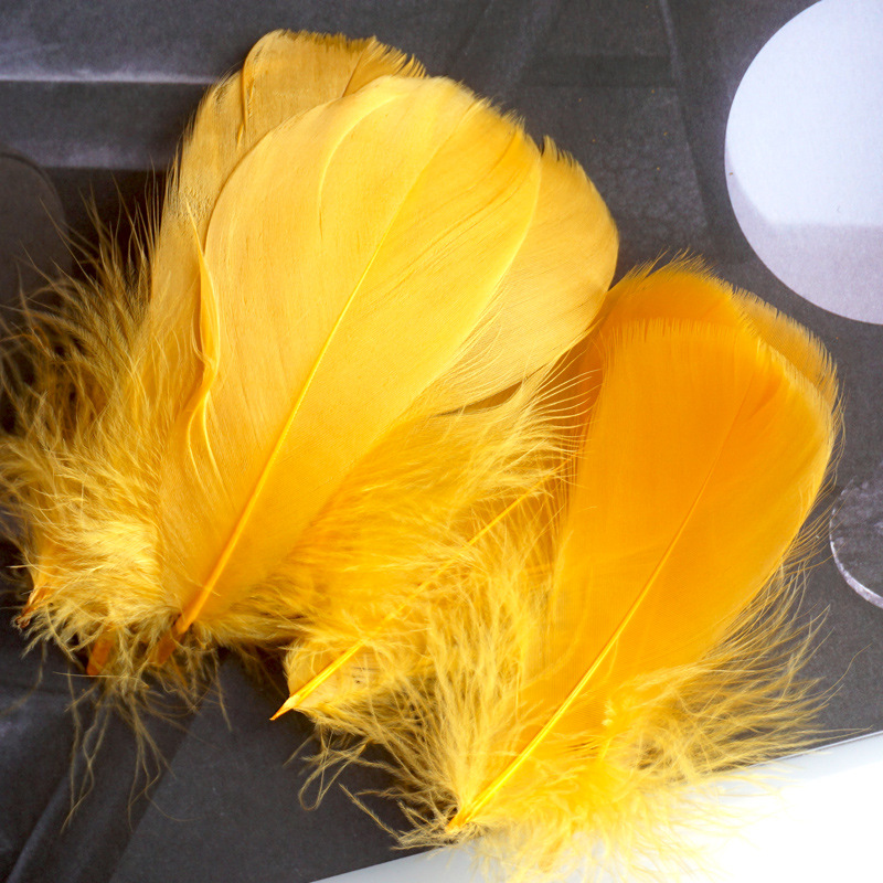 Picture of Color feather DIY floating dyeing goose feather dream catcher wave ball gift box filling decorative materials wholesale