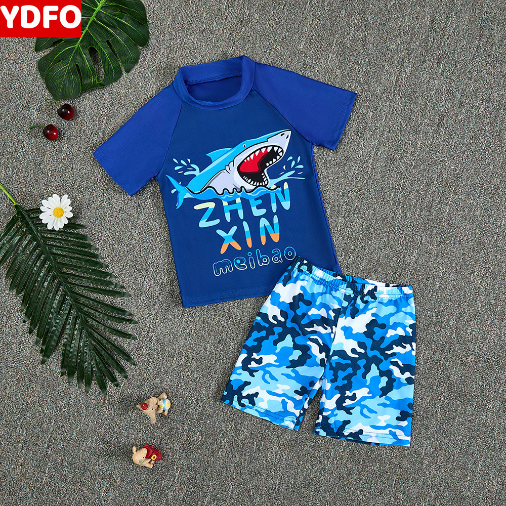 Children's Swimwear Boys Split Summer 2025 New Sunscreen Seaside Cartoon Short-sleeved Swimwear Hot Spring Equipment