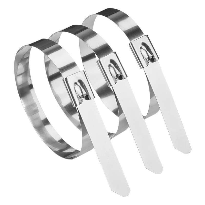 304 Stainless Steel Tie Self-Locking 4.6mm Cable Bridge Metal Tie Outdoor Antioxidant Ship Manufacturer Wholesale
